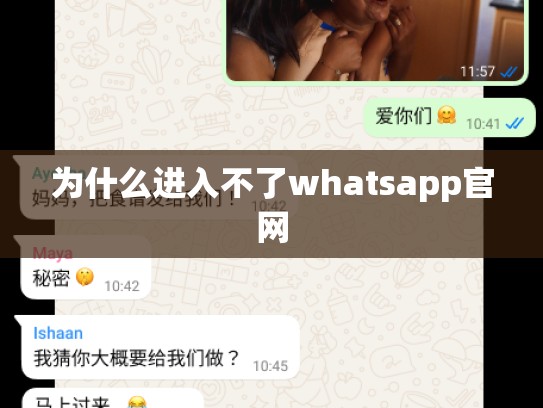 为什么进入不了whatsapp官网