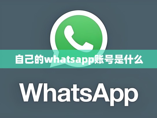 自己的whatsapp账号是什么