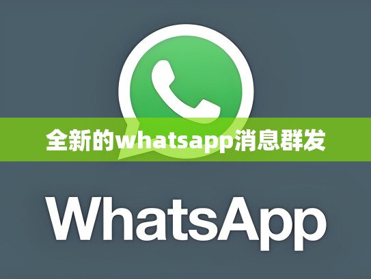 全新的whatsapp消息群发