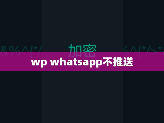 wp whatsapp不推送