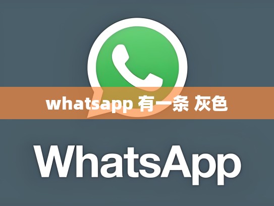 whatsapp 有一条 灰色