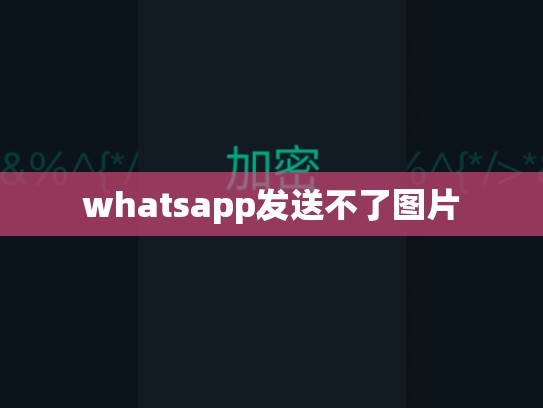 whatsapp发送不了图片