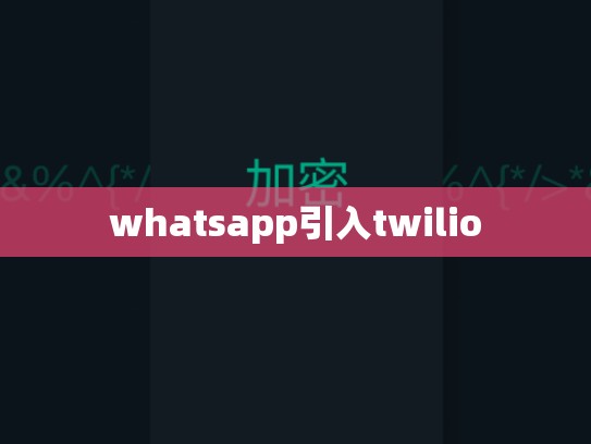 whatsapp引入twilio
