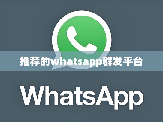 推荐的whatsapp群发平台