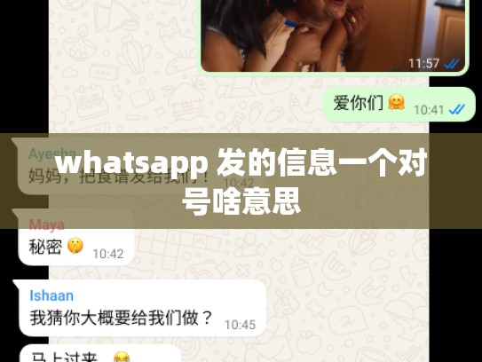 whatsapp 发的信息一个对号啥意思