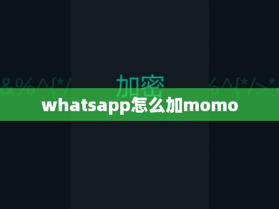 whatsapp怎么加momo