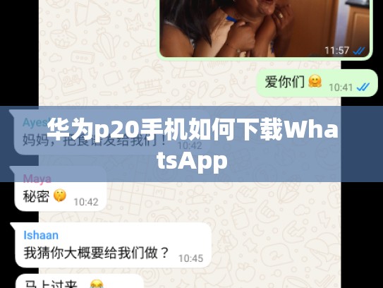 华为p20手机如何下载WhatsApp