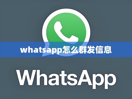 whatsapp怎么群发信息