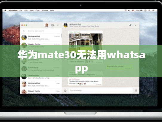 华为mate30无法用whatsapp