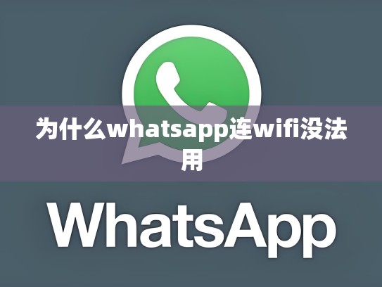 为什么whatsapp连wifi没法用