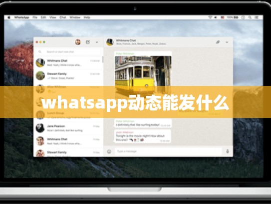 whatsapp动态能发什么