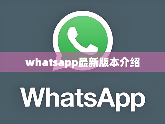 whatsapp最新版本介绍