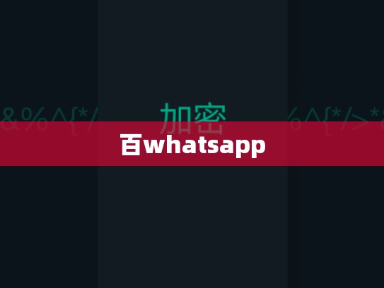 百whatsapp
