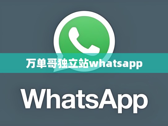 万单哥独立站whatsapp