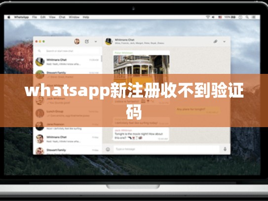 whatsapp新注册收不到验证码