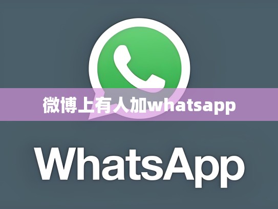 微博上有人加whatsapp