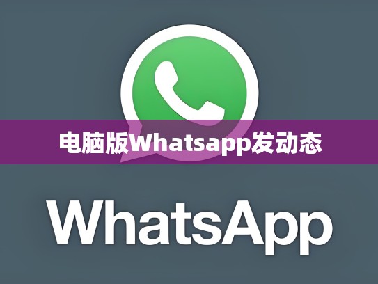 电脑版Whatsapp发动态