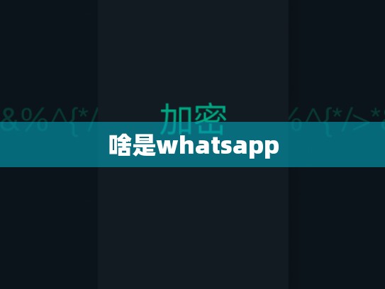 啥是whatsapp