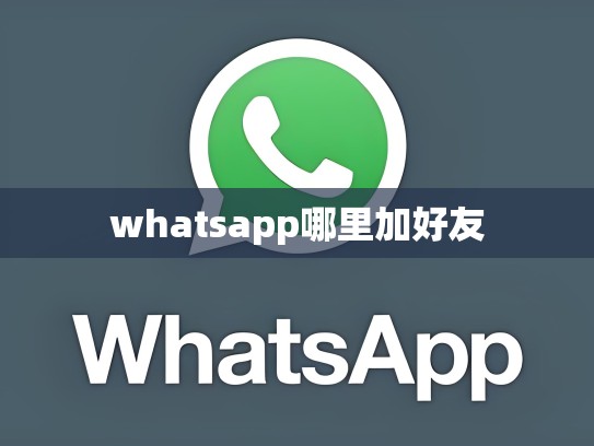 whatsapp哪里加好友