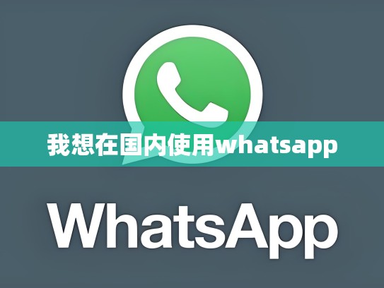 我想在国内使用whatsapp