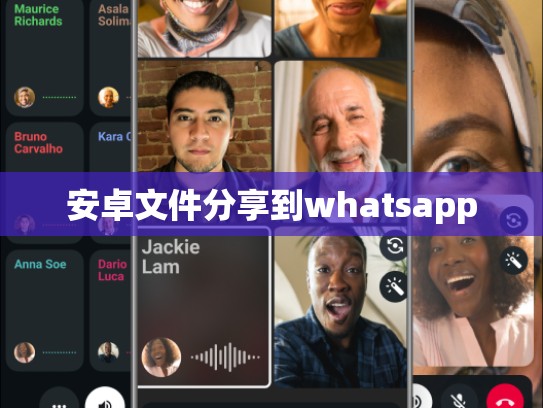 安卓文件分享到whatsapp