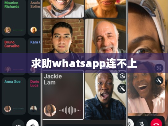 求助whatsapp连不上