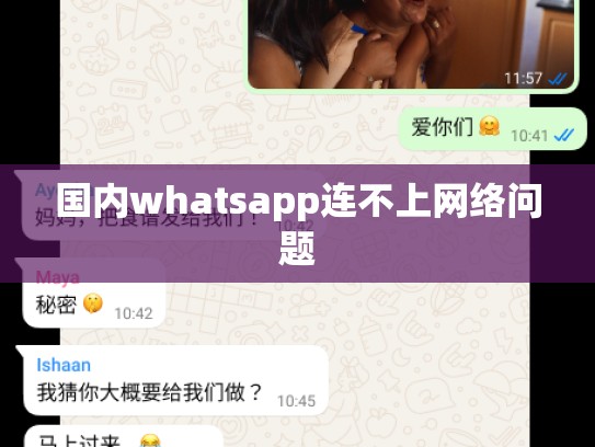 国内whatsapp连不上网络问题
