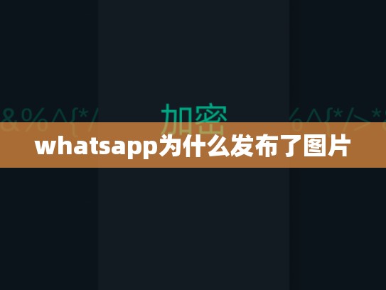 whatsapp为什么发布了图片