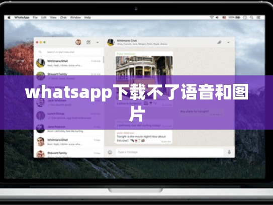 whatsapp下载不了语音和图片