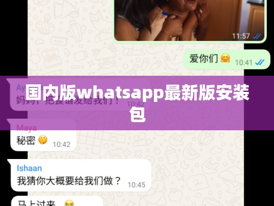 国内版whatsapp最新版安装包