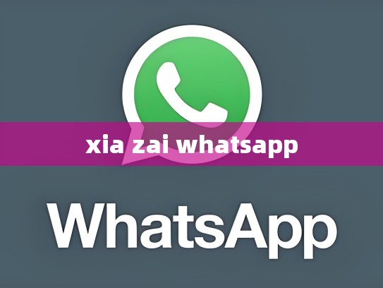 xia zai whatsapp