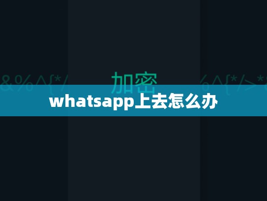whatsapp上去怎么办