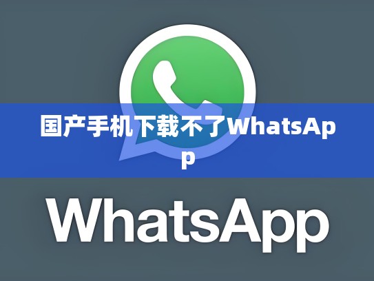 国产手机下载不了WhatsApp