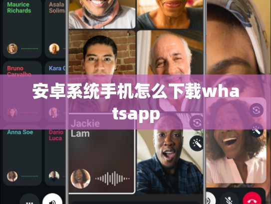 安卓系统手机怎么下载whatsapp