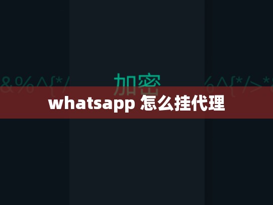 whatsapp 怎么挂代理