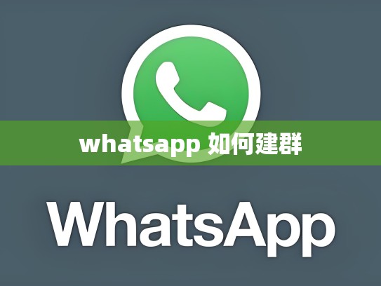 whatsapp 如何建群