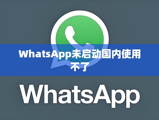 WhatsApp未启动国内使用不了