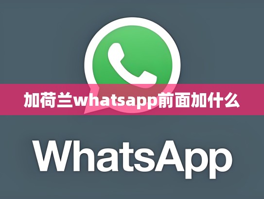 加荷兰whatsapp前面加什么