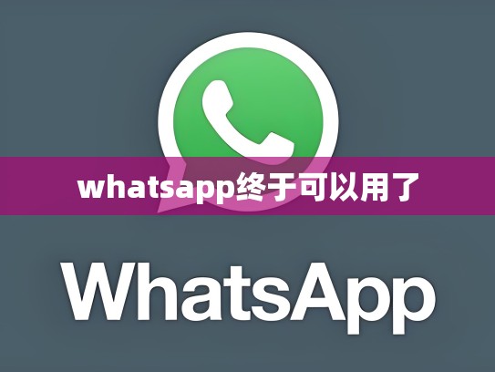 whatsapp终于可以用了