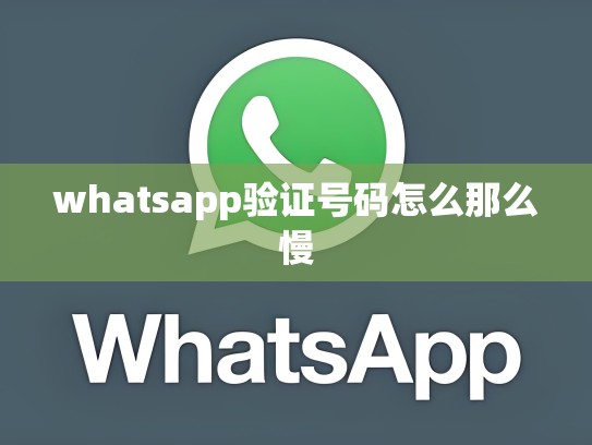 whatsapp验证号码怎么那么慢