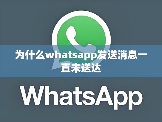 为什么whatsapp发送消息一直未送达