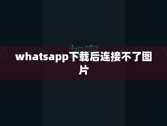 whatsapp下载后连接不了图片