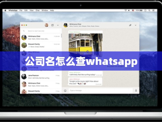 公司名怎么查whatsapp