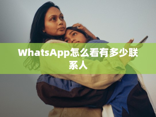 WhatsApp怎么看有多少联系人