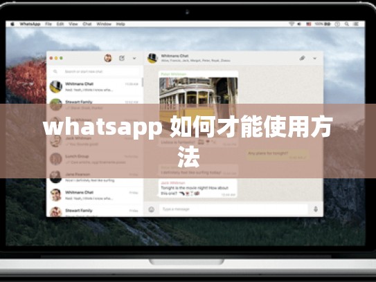 whatsapp 如何才能使用方法