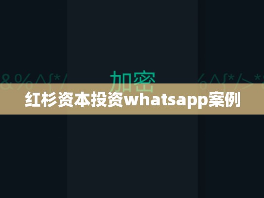 红杉资本投资whatsapp案例