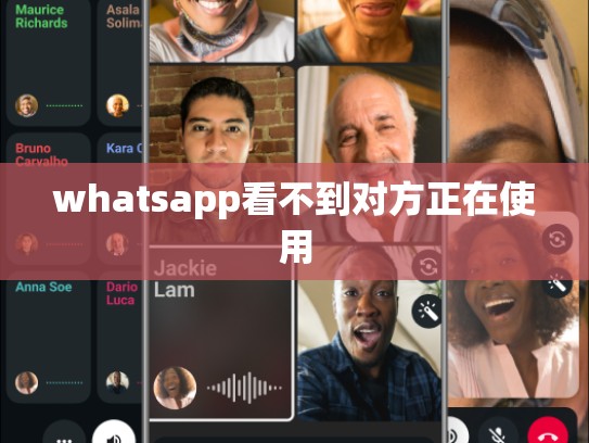 whatsapp看不到对方正在使用