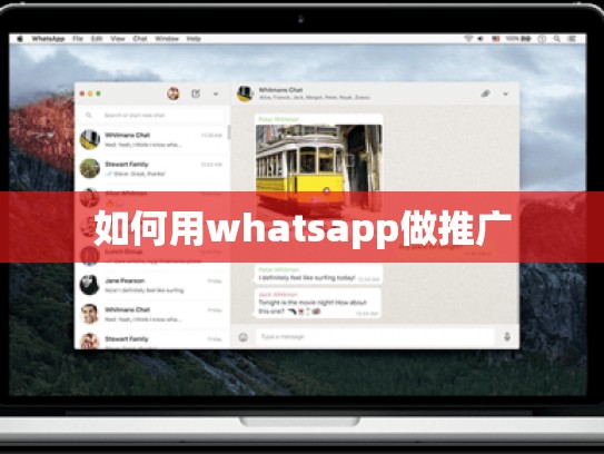 如何用whatsapp做推广