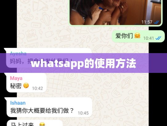 whatsapp的使用方法