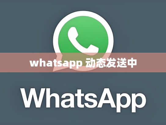 whatsapp 动态发送中